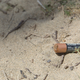 A battery on a beach in Arecibo, Puerto Rico.